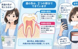 市販ケアで変わらない歯の黄ばみ、着色か内部変色か自宅で判定