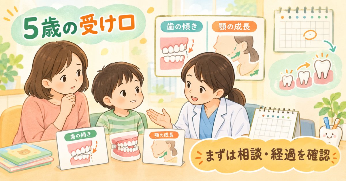 ５歳の受け口、早めに相談してもすぐ矯正？歯の傾きと顎の成長